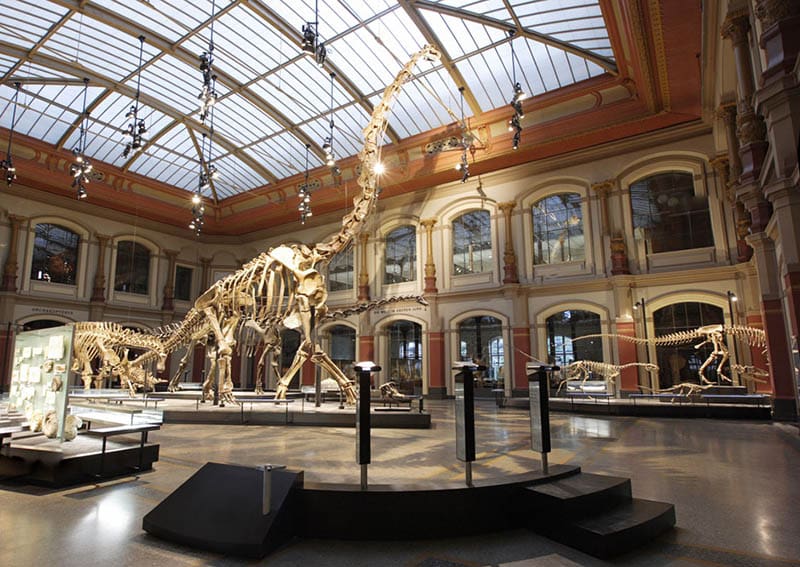 Museu de História Natural em Berlim Museu de História Natural em Berlim